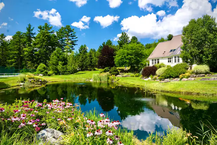 A stunning spring-fed pond reflecting a clear blue sky and fluffy white clouds. In the foreground, vibrant pink and purple wildflowers bloom along the grassy bank. In the background, a luxury house with grey roofs sits nestled among dense green summer trees and rolling green lawns. [Season: Summer] [Lighting: Bright, direct summer daylight] [Content: Spring-fed pond, reflection, wildflowers, estate exterior, lawn]