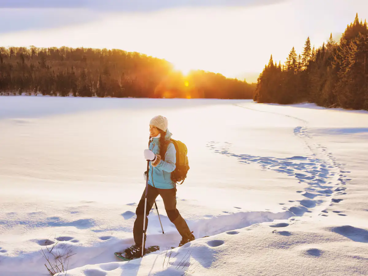 A guest cross-country skiing across a wide, flat snow-covered field under a warm, glowing winter golden hour sunset. A dense pine forest borders the snowy field. [Season: Winter] [Lighting: Low-angled, warm golden sunset light] [Content: Cross-country skiing, snow field, winter sunset, forest path]