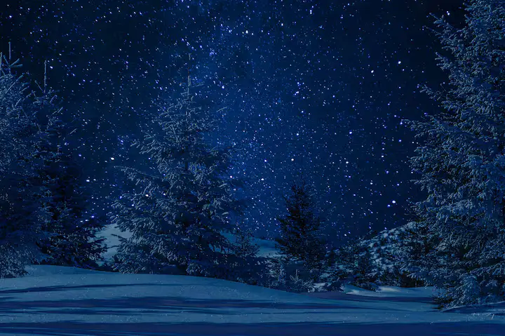 Serene night-time winter landscape showing snow-laden pine trees under a magnificent starry night sky filled with millions of glittering stars. [Season: Winter] [Lighting: Starry night, dark blue tones] [Content: Starry night sky, snow forest, winter night, pine trees]
