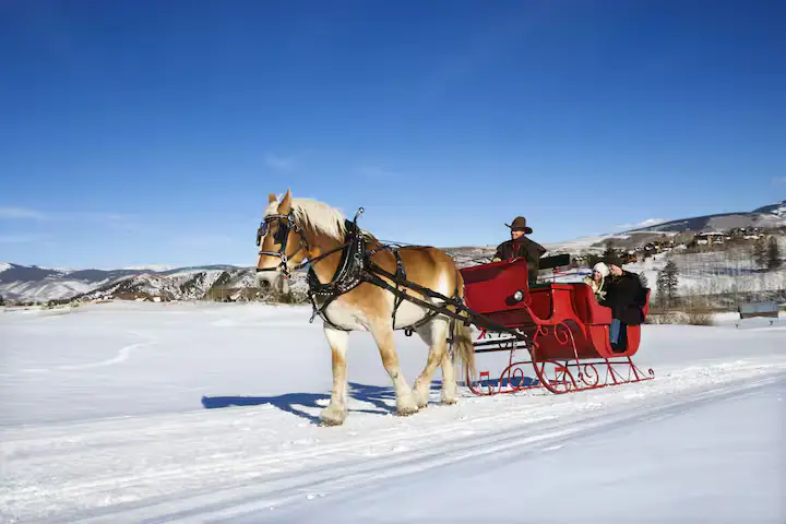 A beautiful winter horse-drawn sleigh ride scene. A single horse pulls a traditional red sleigh with two guests and a driver dressed in winter clothes, moving across a wide snow-covered field under a clear blue sky. In the background are snow-covered hills. [Season: Winter] [Lighting: Bright, direct winter daylight] [Content: Horse-drawn sleigh, red sleigh, snow field, winter activity]